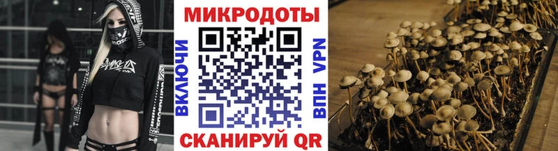 KRAKEN ONION  Сортавала  Галлюциногенные грибы мицелий 
